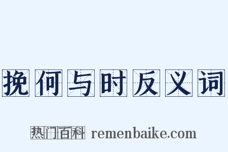 挽何与时反义词是什么意思的图片